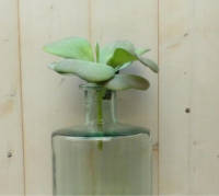 Warentuin Mix - Kunstvetplant op steker 20 cm