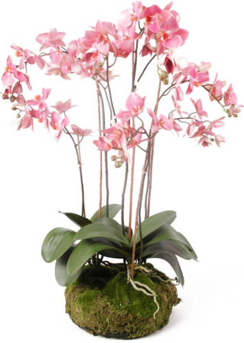 Emerald Kunstplant orchidee met mos roze 75 cm 417662