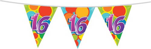 Haza Original Leeftijd verjaardag thema vlaggetjes 16 jaar plastic 10 meter - Vlaggenlijnen