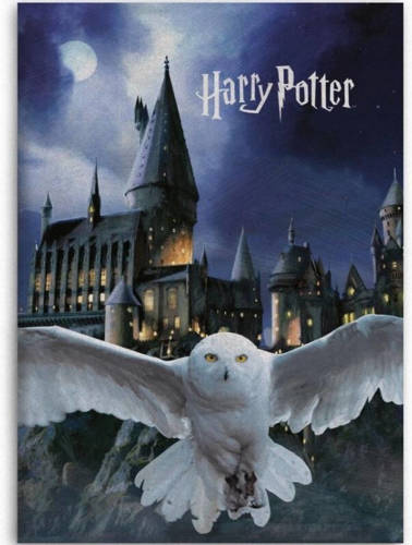 SimbaShop Harry Potter Fleece deken Hogwarts Hedwig - 100 x 140 cm - Polyester