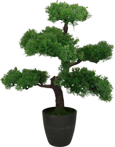 H&S Collection Kunstplant Bonsai boompje in pot - Japans decoratie - 50 cm - Type Tokio - Kunstplanten