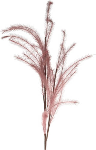 Dijk Natural Collections Kunstbloem Pluim donker roze108cm