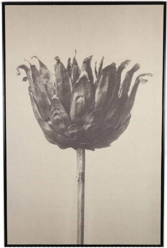 Dijk Natural Collections DKNC - Wanddecoratie bloemen linen - 78x118x3.5cm - Zwart