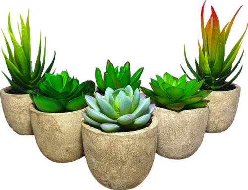 GreenDream Kunstplanten - Vetplanten in Pot 6 stuks - Cadeautip