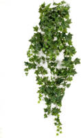 Emerald Kunstplant klimop hangend groen 180 cm 418712