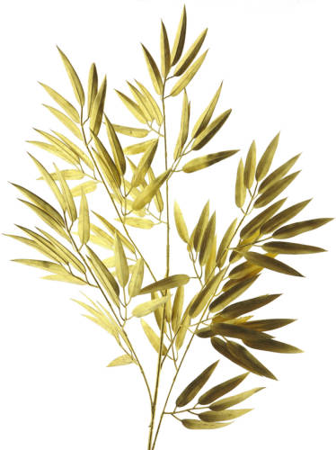 Nova Nature - Bamboo spray gold 98cm