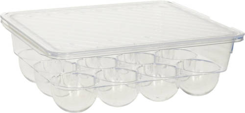 Forte Plastics Eierdoos - koelkast organizer eierhouder - 12 eieren - transparant - kunststof - 22,5 x 17,5 cm - Vershoudbakjes