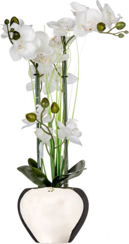 Atmosphera Orchidee bloem kunstplant - wit - H53 x B37 cm - in zilveren pot - Kunstplanten