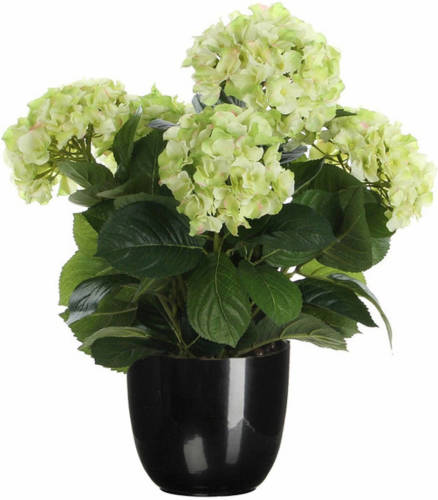 Mica Decorations Hortensia kunstplant/kunstbloemen 45 cm - groen - in pot zwart glans - Kunstplanten