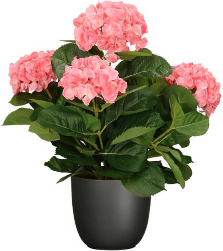 Mica Decorations Hortensia kunstplant/kunstbloemen 45 cm - roze - in pot zwart mat - Kunstplanten