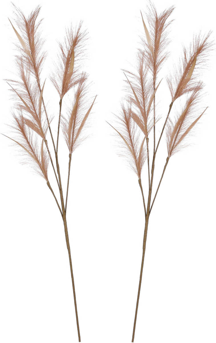 House of seasons A pluimgras losse steel/tak - 2x - lichtbruin - 98 cm - decoratie kunst pluimen - Kunstplanten