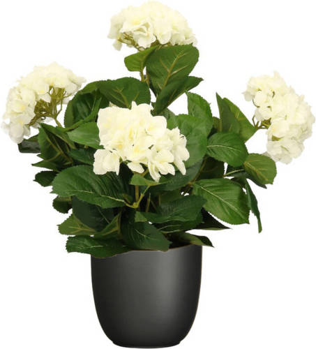 Mica Decorations Hortensia kunstplant/kunstbloemen 45 cm - wit - in pot zwart mat - Kunstplanten