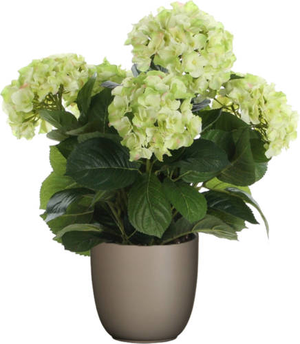 Mica Decorations Hortensia kunstplant/kunstbloemen 45 cm - groen - in pot taupe mat - Kunstplanten