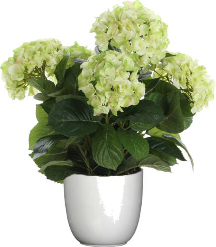 Mica Decorations Hortensia kunstplant/kunstbloemen 45 cm - groen - in pot wit - Kunstplanten
