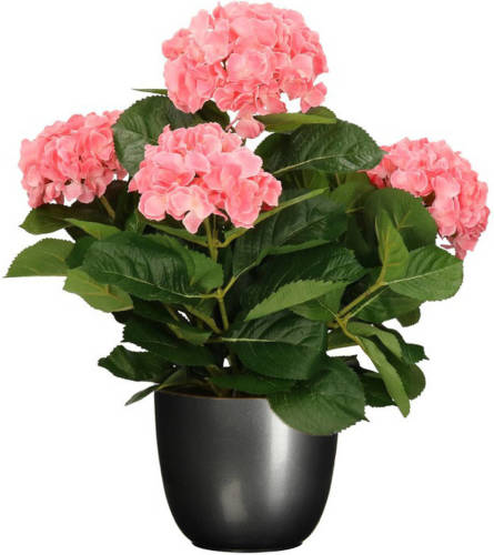 Mica Decorations Hortensia kunstplant/kunstbloemen 45 cm - roze - in pot titanium grijs glans - Kunstplanten