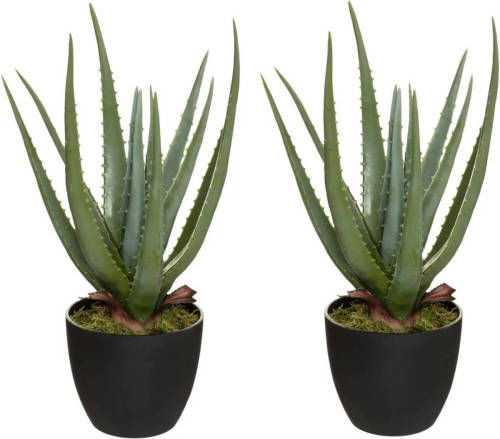 Set van 2x stuks Atmosphera Aloe kunstplanten in pot van cement 42 cm - Kunstplanten