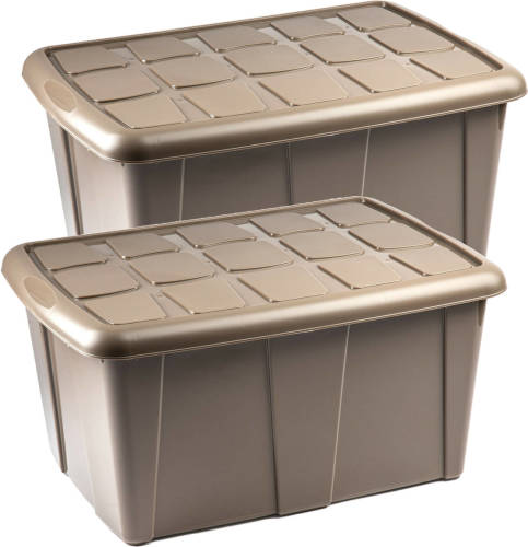 Forte Plastics Plasticforte Opslagbox met deksel - 2x - Beige - 60L - kunststof - 63 x 46 x 32 cm - Opbergbox