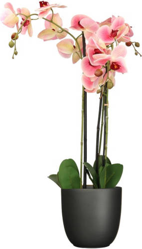 Mica Decorations Orchidee kunstplant roze - 75 cm - inclusief bloempot titanium grijs glans - Kunstplanten