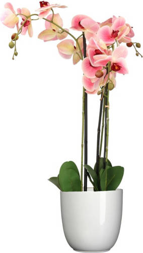 Mica Decorations Orchidee kunstplant roze - 75 cm - inclusief bloempot wit glans - Kunstplanten
