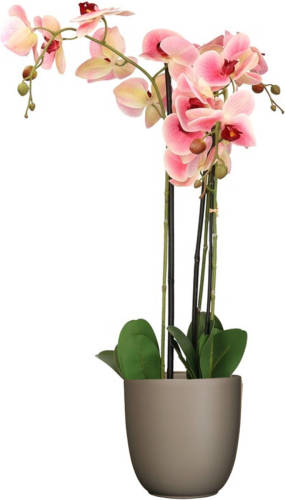 Mica Decorations Orchidee kunstplant roze - 75 cm - inclusief bloempot taupe mat - Kunstplanten