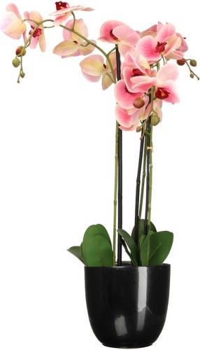 Mica Decorations Orchidee kunstplant roze - 75 cm - inclusief bloempot zwart glans - Kunstplanten