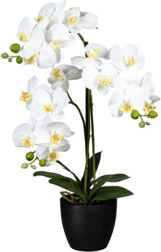 Kopu ® Kunstbloem Orchidee 65 cm Wit met zwarte Pot - Phalenopsis