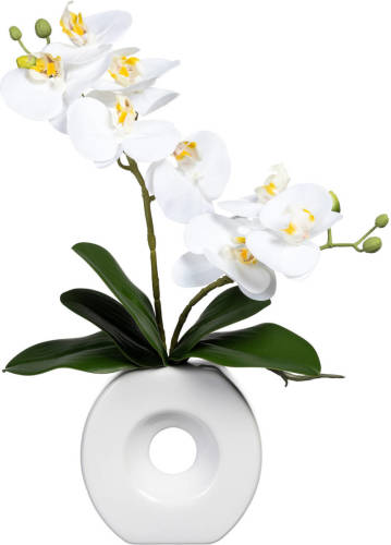 Kopu ® Kunstbloem Witte Orchidee 35 cm in mooie witte Vaas - Phalenopsis