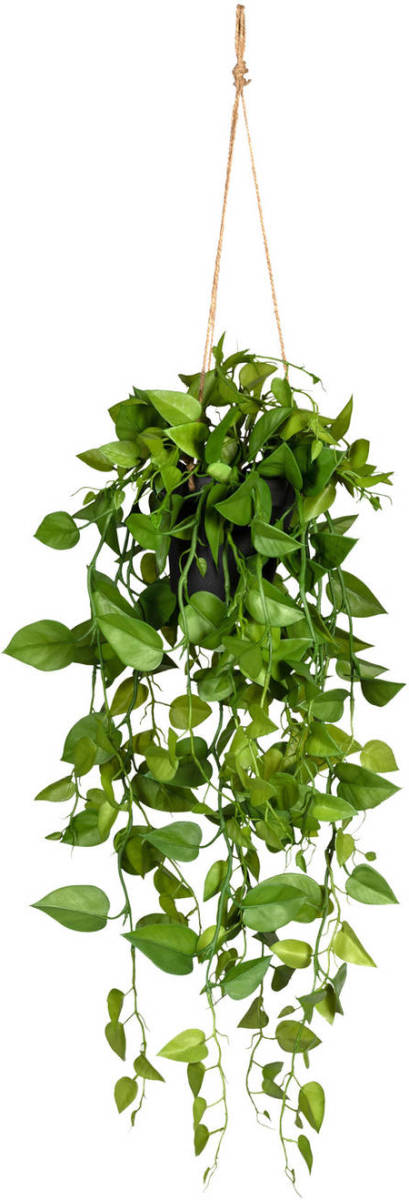 Kopu ® Hangplant Philodendron 75 cm - Macramé Plantenhanger met Pot