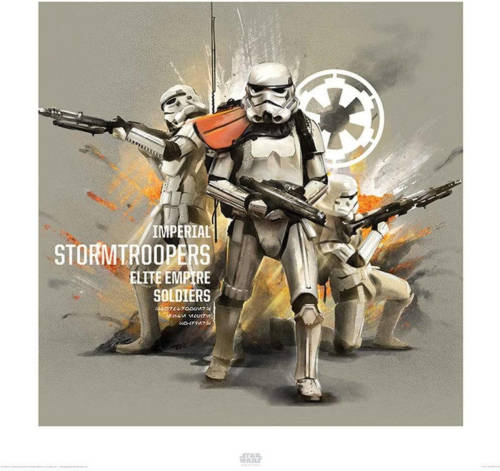 Pyramid Kunstdruk Star Wars Rogue One Stormtroopers Profile 40x40cm