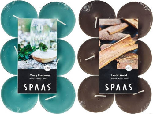 Candles by Spaas geurkaarsen - 24x stuks in 2 geuren Mint en Exotic wood - geurkaarsen