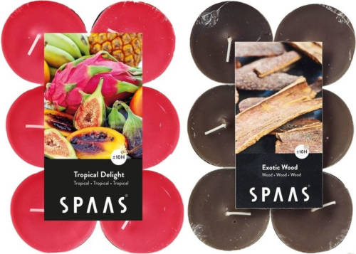 Candles by Spaas geurkaarsen - 24x stuks in 2 geuren Tropical Delight en Exotic wood - geurkaarsen