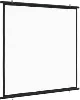 The Living Store Projectiescherm - Thuisbioscoop - 135 x 140 cm - Matwit