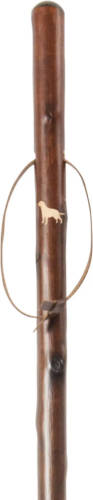 Classic Canes Jachtstok - Bruin - Labrador - Retriever - Kastanje hout - Lengte 122 cm - Wandelstok outdoor