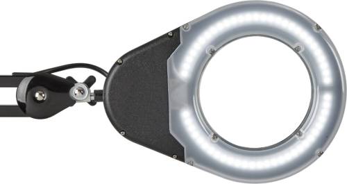 Maul LED loeplamp MAULviso zwart