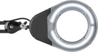 Maul LED loeplamp MAULviso zwart