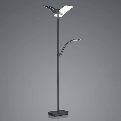 HELL LED vloerlamp Dual met leeslamp, zwart