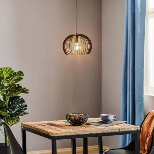 TEMAR LIGHTING Hanglamp Larus van zwart staal, 1-lamp