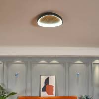 ECO-Light Bezi LED wandlamp, licht hout, Ø 45 cm, hout, CCT