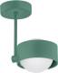 Argon Plafondlamp Mado, 1-lamp, groen
