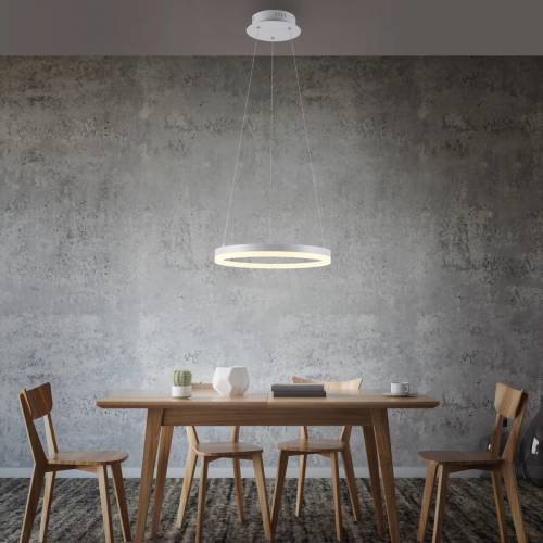 Paul Neuhaus LED hanglamp Titus, rond, Ø 40 cm, wit