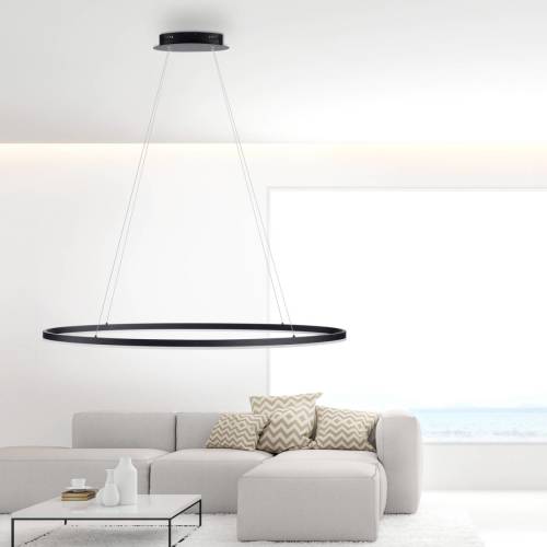 Paul Neuhaus Titus LED hanglamp, Oval 118x56cm