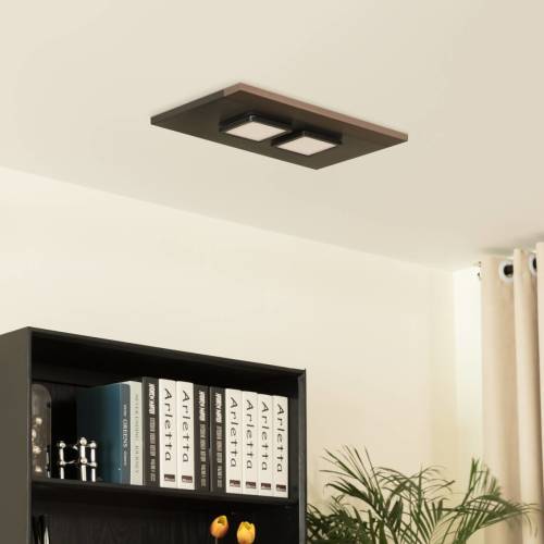 Plafondlamp Lucande Esteria, 2-lamps