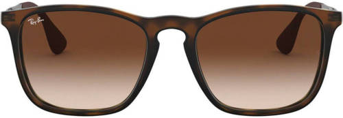 Ray-Ban zonnebril 0RB4187