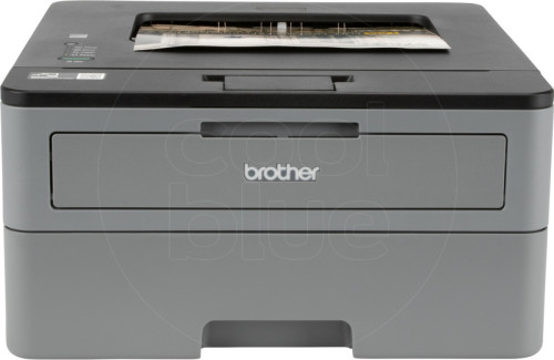 Brother HL-L2310D