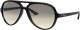 Ray-Ban zonnebril 0RB4125 zwart