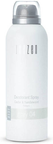 Janzen deodorant spray Grey 04 - 150 ml