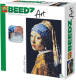 Ses Beedz Art Vermeer - Meisje met de Parel