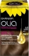 Garnier Olia Permanente Kleuring 6.0 Donkerblond