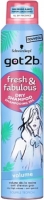 Got2b Droogshampoo Volume