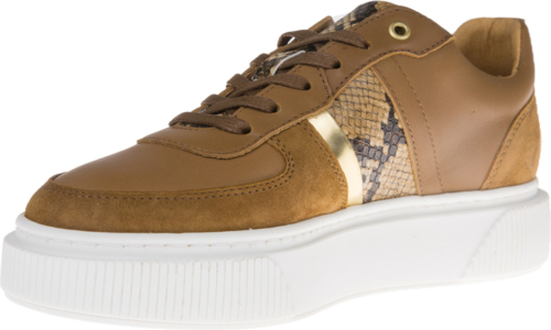 Cycleur de luxe Lauren